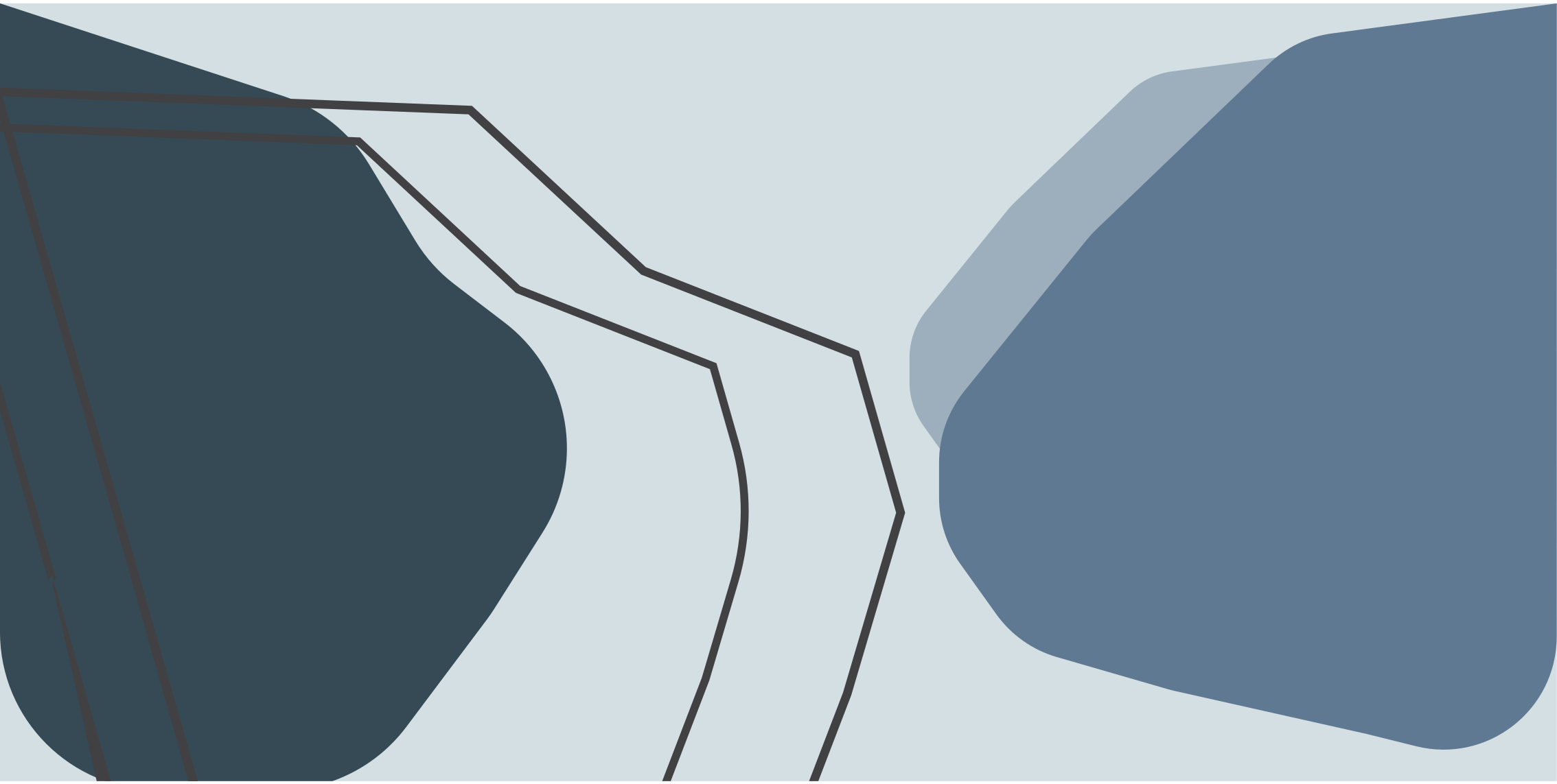 Covor de vinil geometric linii de contur abstracte - TenStickers