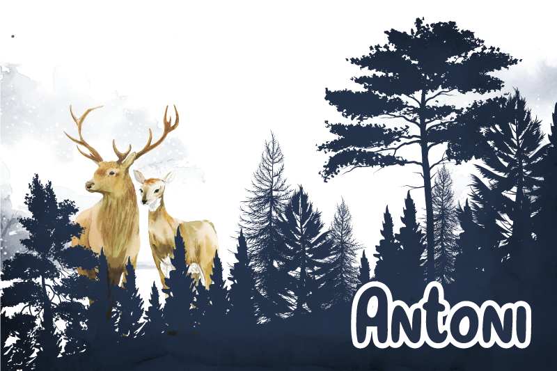 Covor de vinil cu nome silueta faunei forestiere - TenStickers