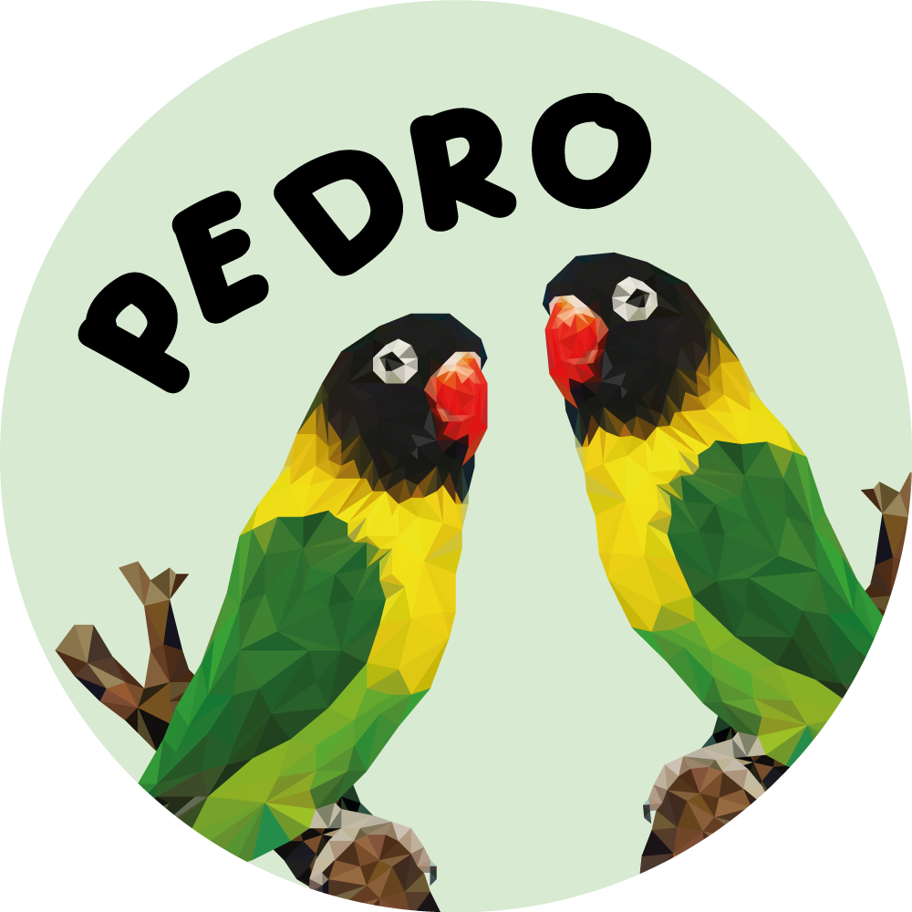 Covor de vinil cu nome păsări de dragoste personalizabile - TenStickers