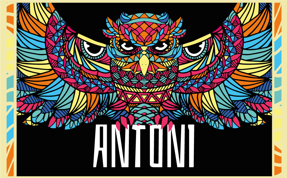 Covor de vinil cu nome personalizare bufniță colorată - TenStickers