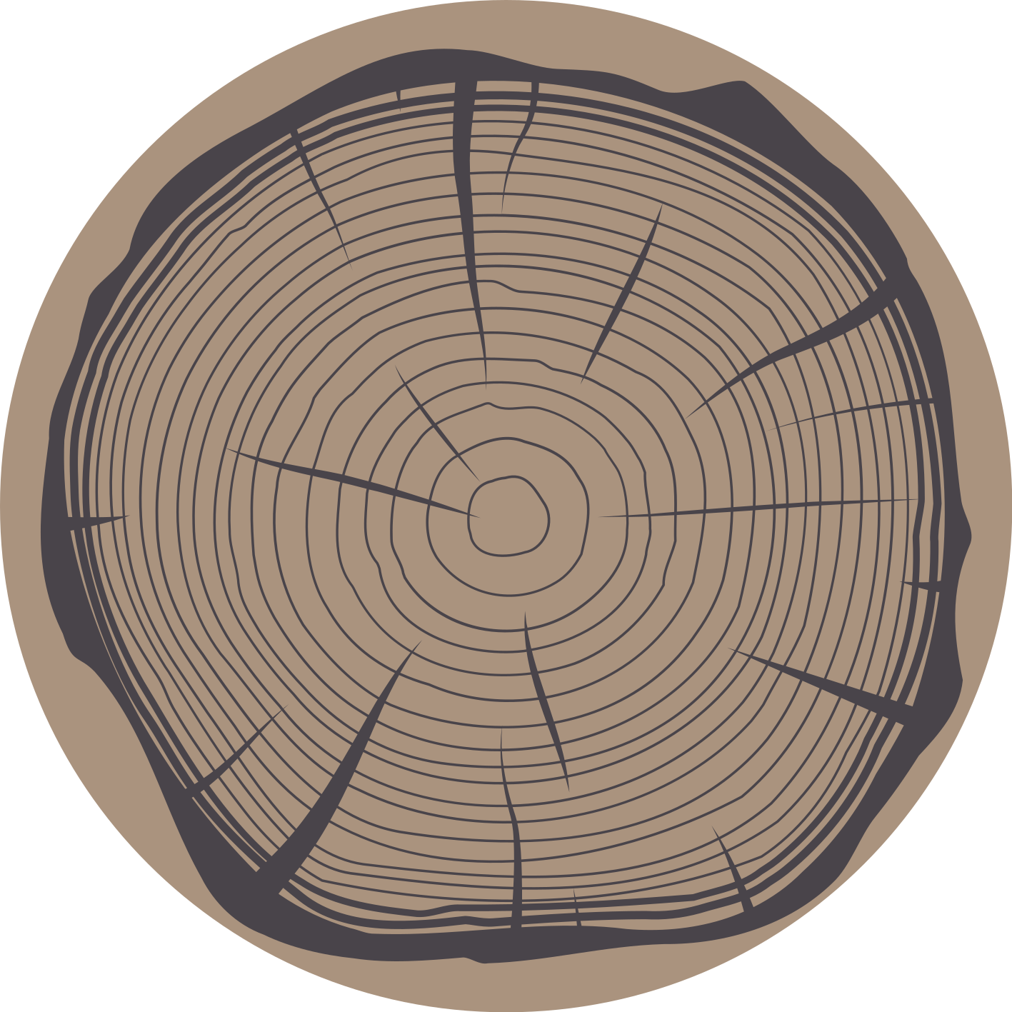 Trunchi de copac natura covor vinil podea - TenStickers