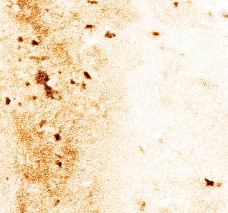 Tapet de marmură moale cu textură de marmură - TenStickers