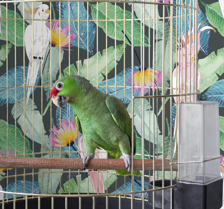 Tapet păsări păsări tropicale și frunze - TenStickers