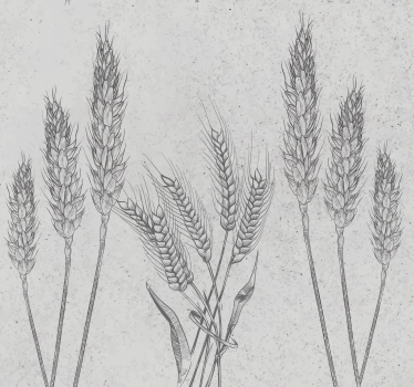 Tapet rustic tulpini elegante de grâu - TenStickers